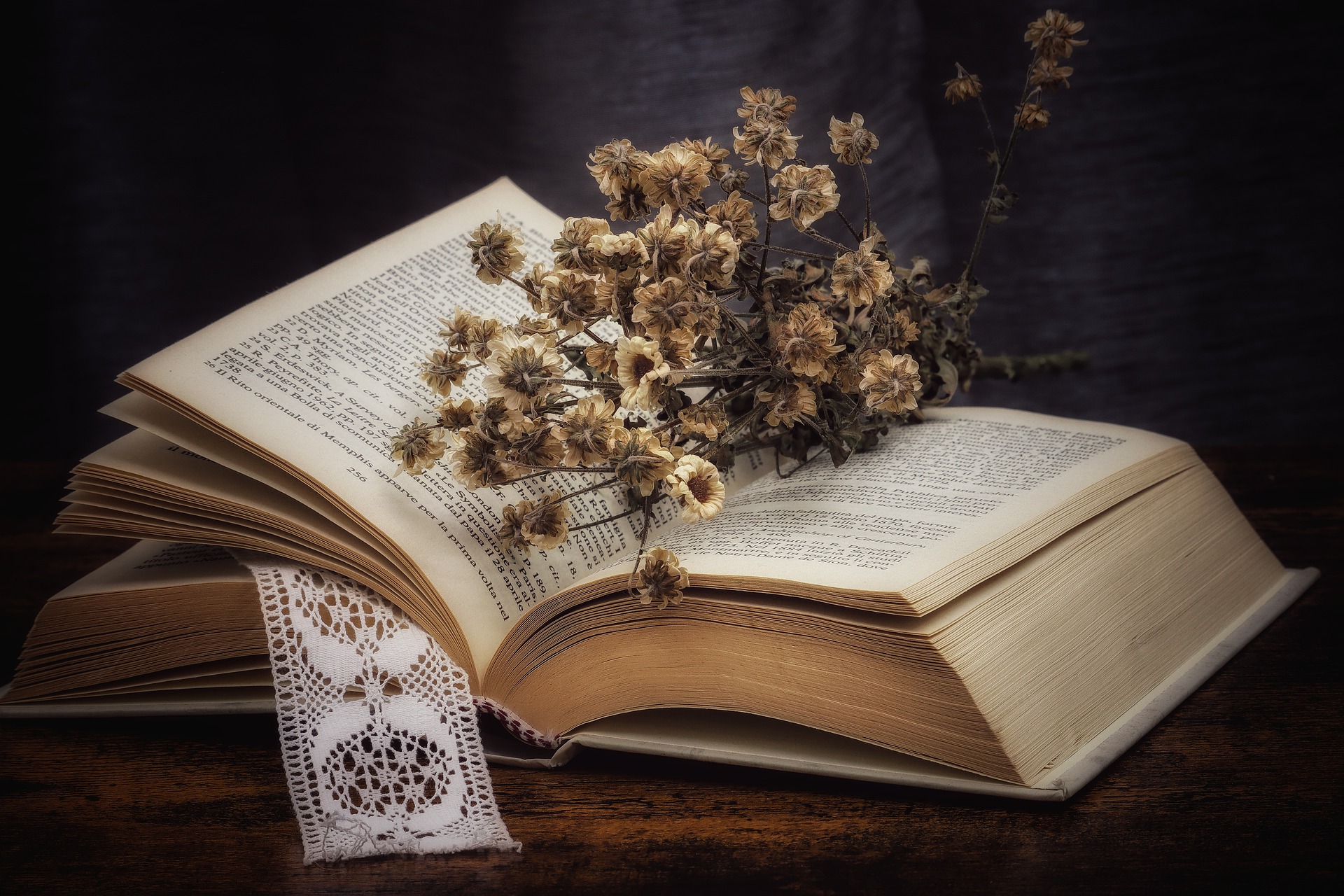 Tại sao những “mọt sách” luôn thích đọc sách giấy truyền thống?