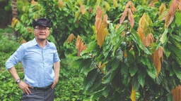 Vinacacao: Nguyên liệu Việt, chất lượng quốc tế